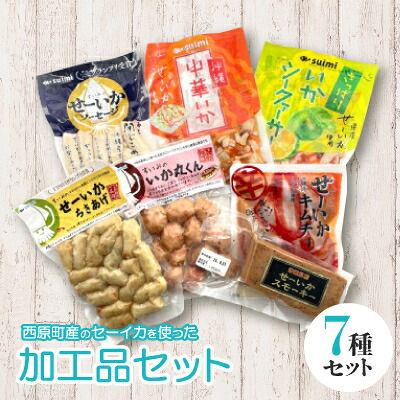 【ふるさと納税】西原町産のせーいかを使った加工品7種セット【配送不可地域：離島】【1564569】｜沖縄県西原町