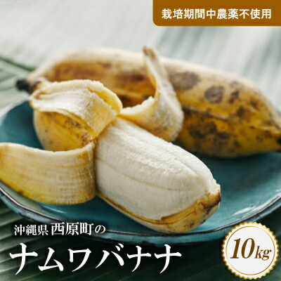 【ふるさと納税】西原町の栽培期間中農薬不使用のナムワバナナ10kg【1616149】