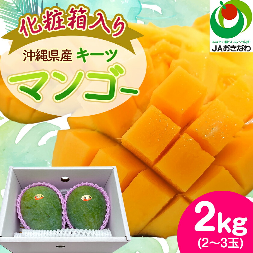 【ふるさと納税】【2025年発送・化粧箱】キーツマンゴー2.0kg(2～3玉)_ マンゴー フルーツ 果物 くだもの キーツマンゴー 人気 おすすめ 送料無料 贈答 ギフト プレゼント 化粧箱 完熟 沖縄県 常温 【1494471】