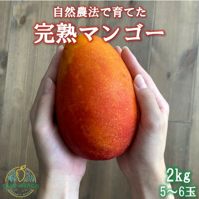 【ふるさと納税】【2025年6月～7月頃の発送】田場農園の栽培期間中農薬不使用マンゴー2kg(5～6玉)【配送不可地域：離島】【1386744】