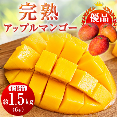 【ふるさと納税】【2025年発送】〈優品〉完熟アップルマンゴー約1.5kg(化粧箱)6玉【配送不可地域：離島】【1466101】
