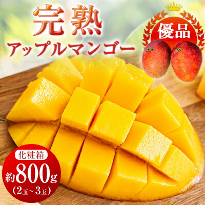 【ふるさと納税】【2025年発送】＜優品＞完熟アップルマンゴー約800g(化粧箱)2玉～3玉【配送不可地域：離島】【1390897】