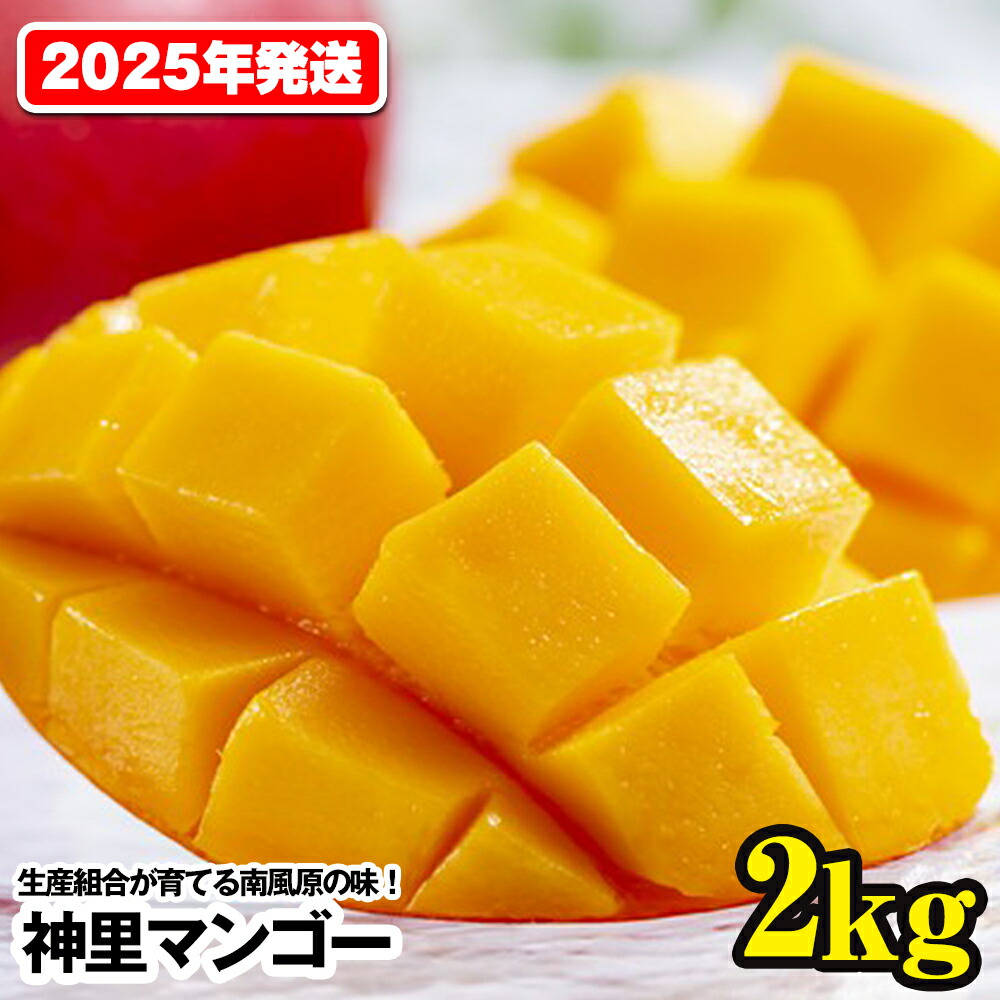 生産組合が育てる南風原の味 神里マンゴー2kg 【59%OFF!】