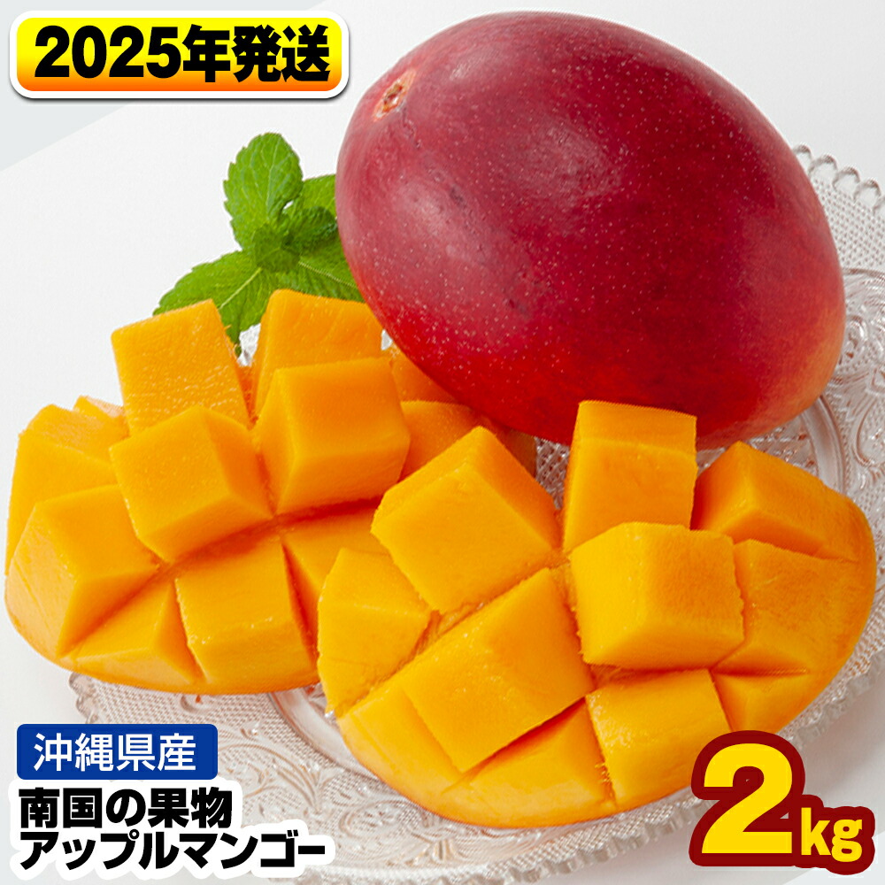【ふるさと納税】【2025年発送】南国の果物　沖縄県産アップルマンゴー　2kg