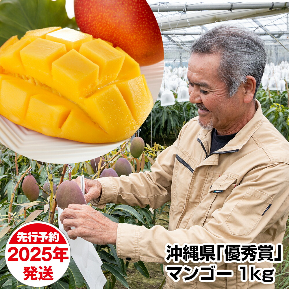 【ふるさと納税】【2025年発送】芳醇な香り　とろける食感　沖縄県「優秀賞」マンゴー1kg