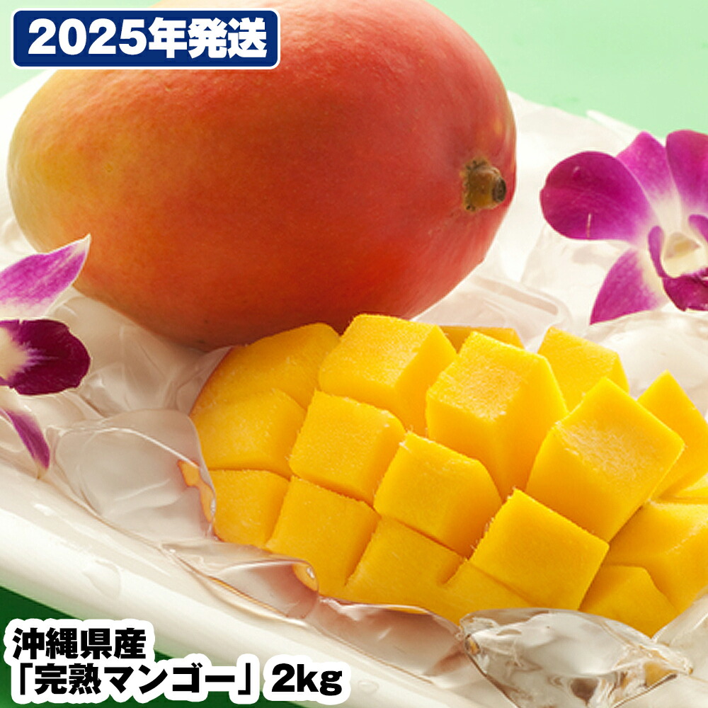 【ふるさと納税】【2025年発送】直売所で厳選　沖縄県産「完熟マンゴー」2kg