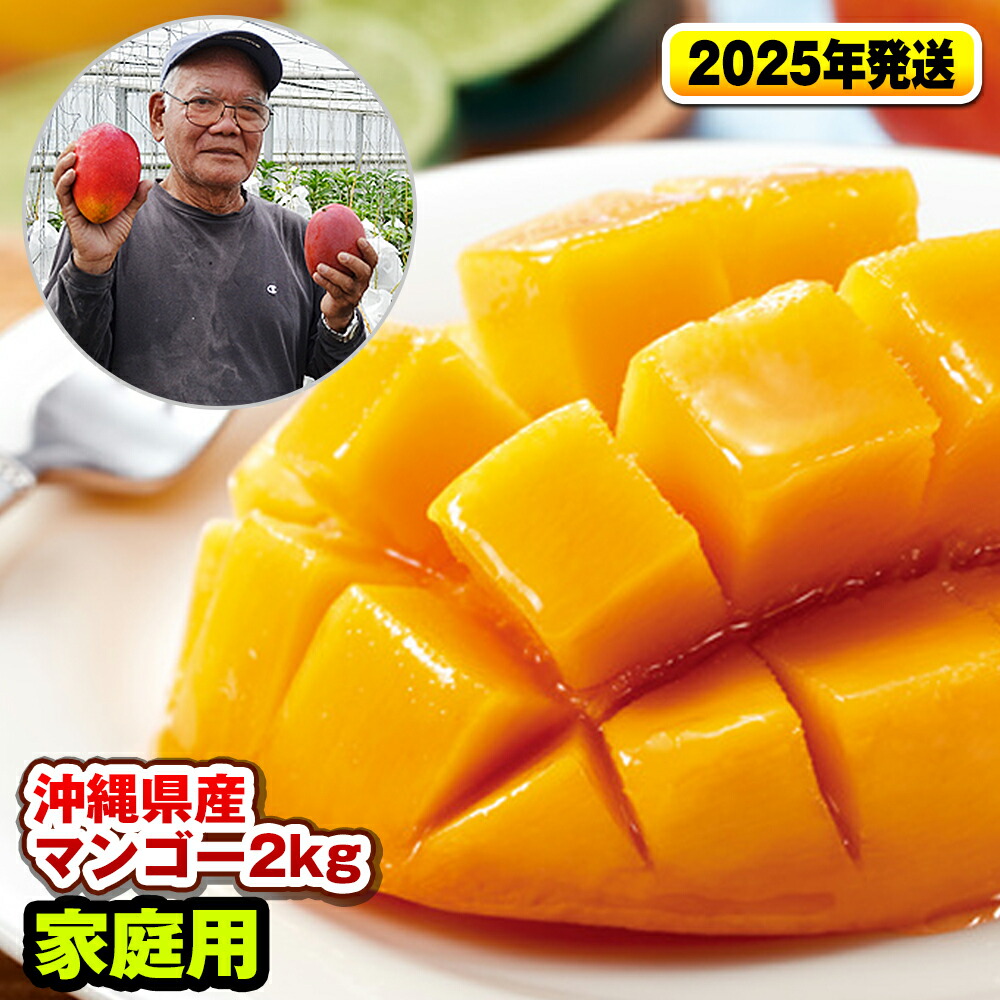 【ふるさと納税】【2025年発送】濃厚な甘さの沖縄県産マンゴー2kg（家庭用）