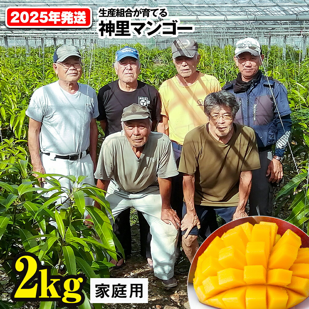 【ふるさと納税】【2025年発送】生産組合が育てる神里のマンゴー2kg　家庭用