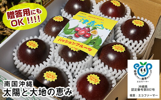 【ふるさと納税】【2025年発送】南国の果物　パッションフルーツ　1kg　贈答用
