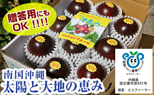 年最新海外 楽天市場 ふるさと納税 21年発送 品評会受賞 南国の果物 パッションフルーツ1kg 沖縄県南風原町 新発 Blog Belasartes Br
