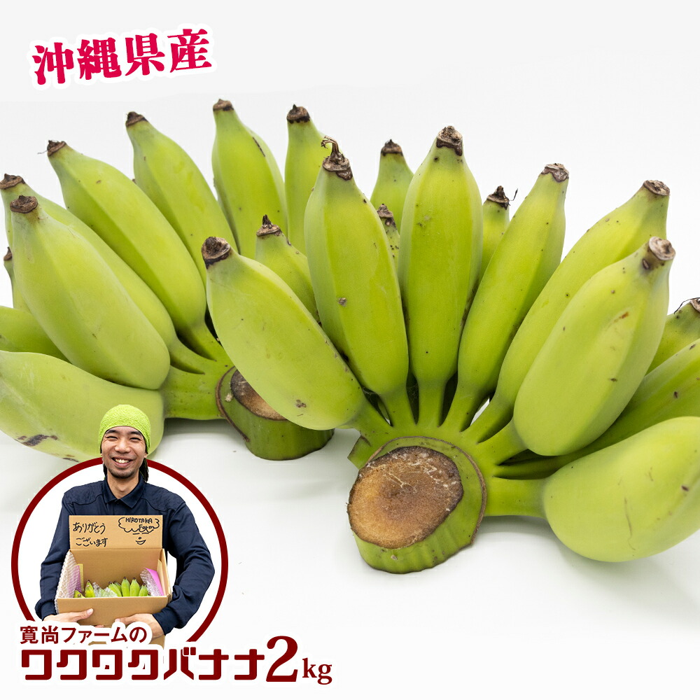 【ふるさと納税】【沖縄県産】寛尚ファームのワクワクバナナ　2kg