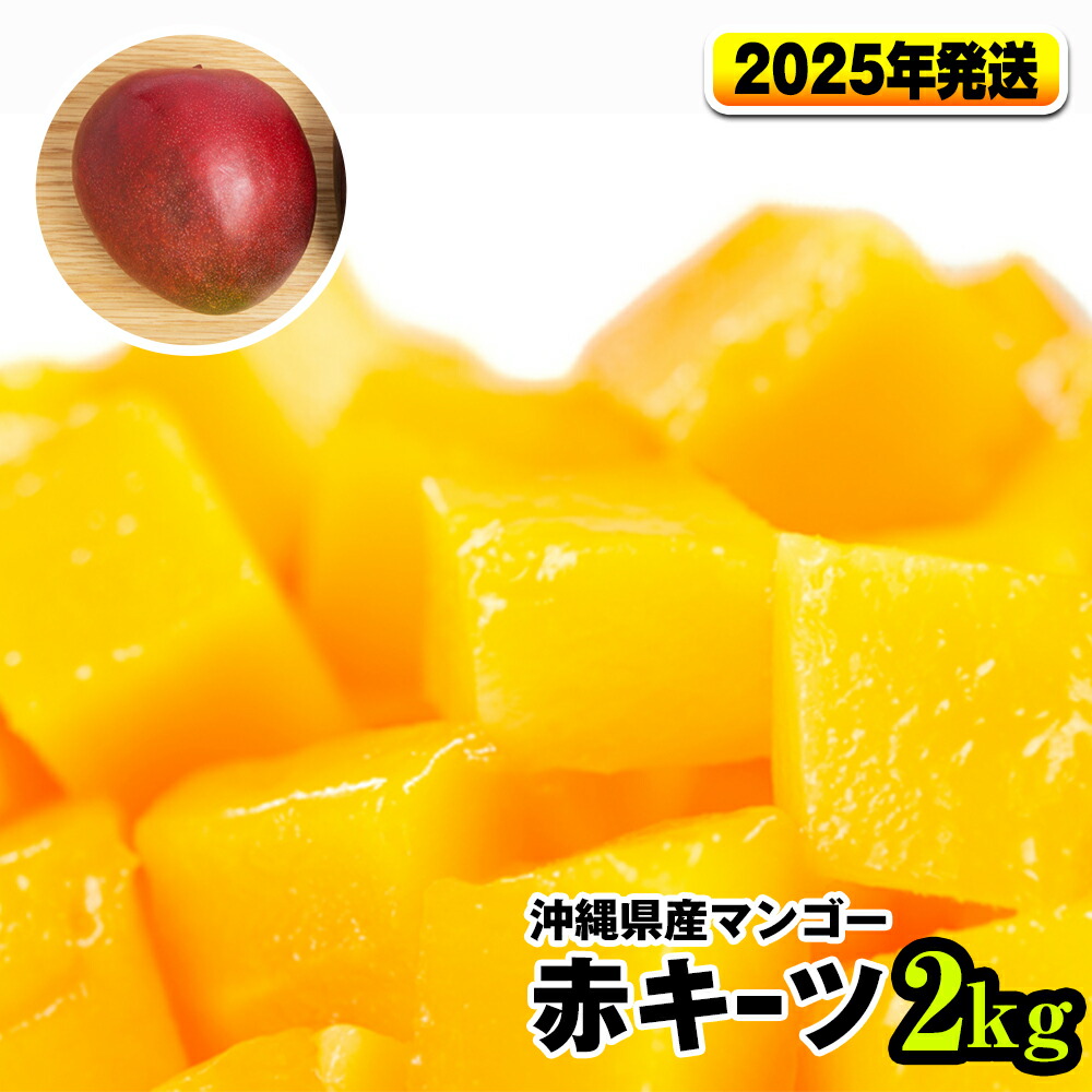 【ふるさと納税】【2025年発送】南国の果物　沖縄県産マンゴー　赤キーツ　2kg