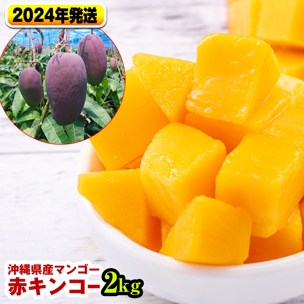 沖縄県産 トロピカルフルーツセット　マンゴー＆ドラゴンフルーツ
