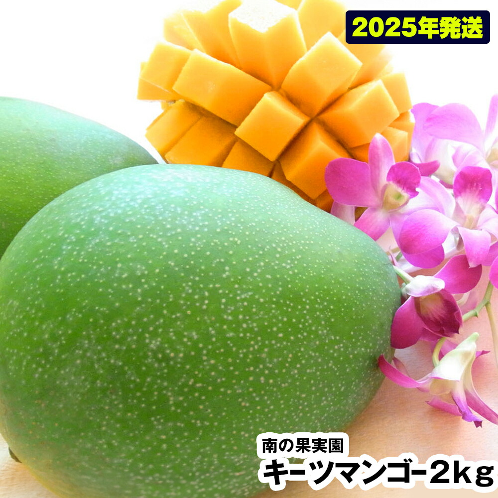 【ふるさと納税】【2025年発送】南の果実園　キーツマンゴー2kg