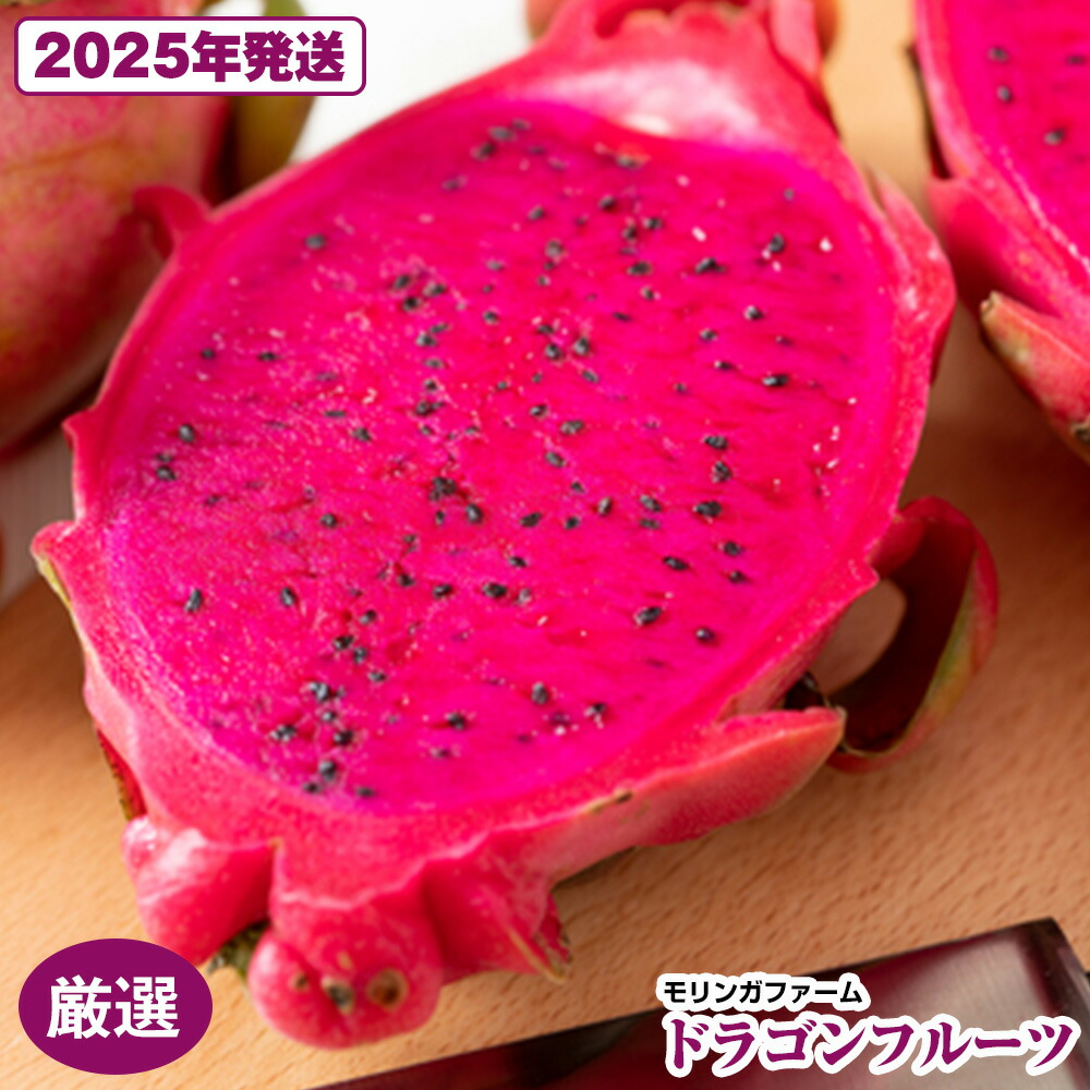 【ふるさと納税】【2025年発送】モリンガファーム　厳選ドラゴンフルーツ