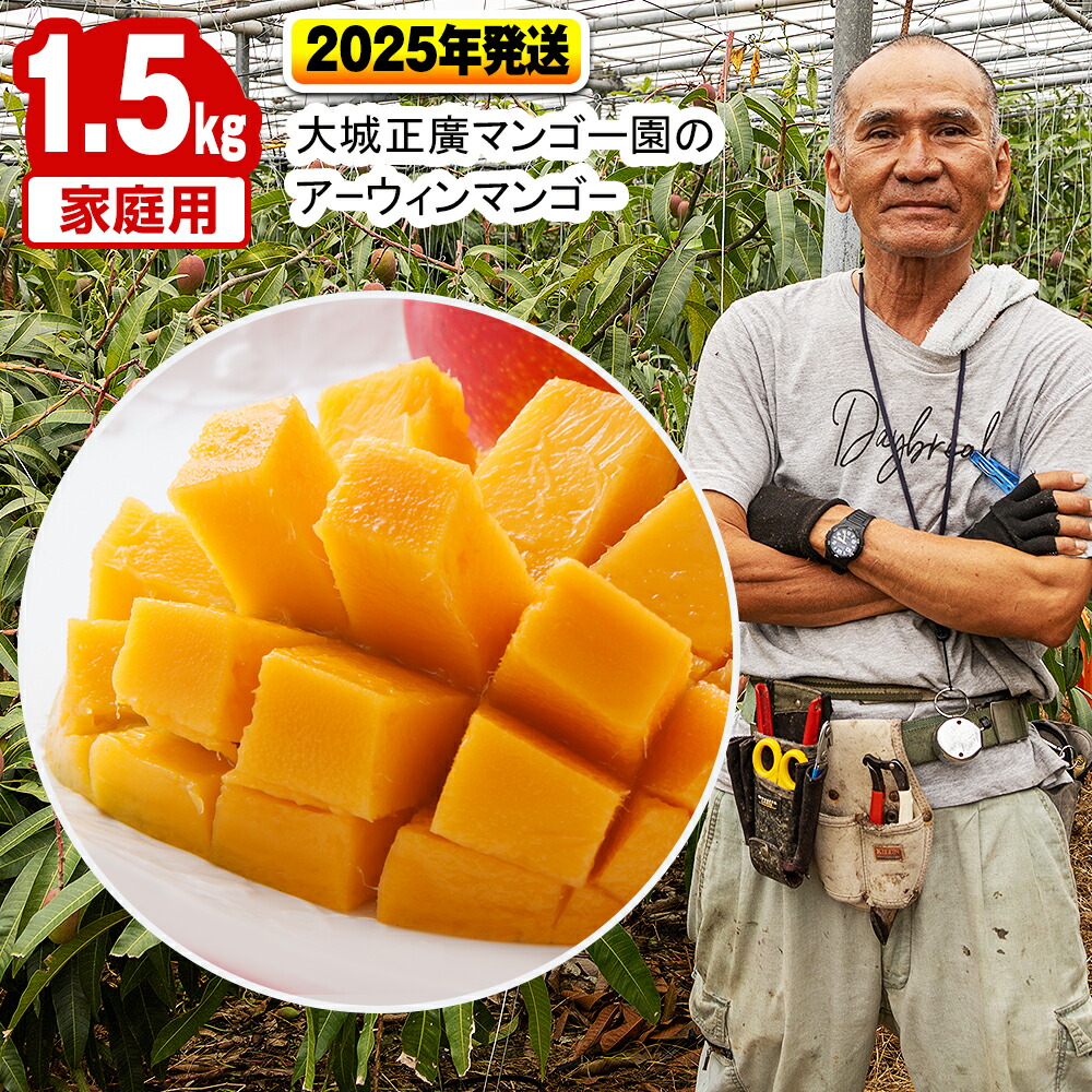 【ふるさと納税】【2025年発送】大城正廣マンゴー園のアーウィンマンゴー（家庭用）1.5kg