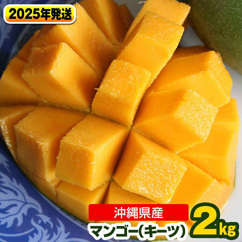 【ふるさと納税】【2025年発送】南国の果物　沖縄県産マンゴー　キーツ　2kg