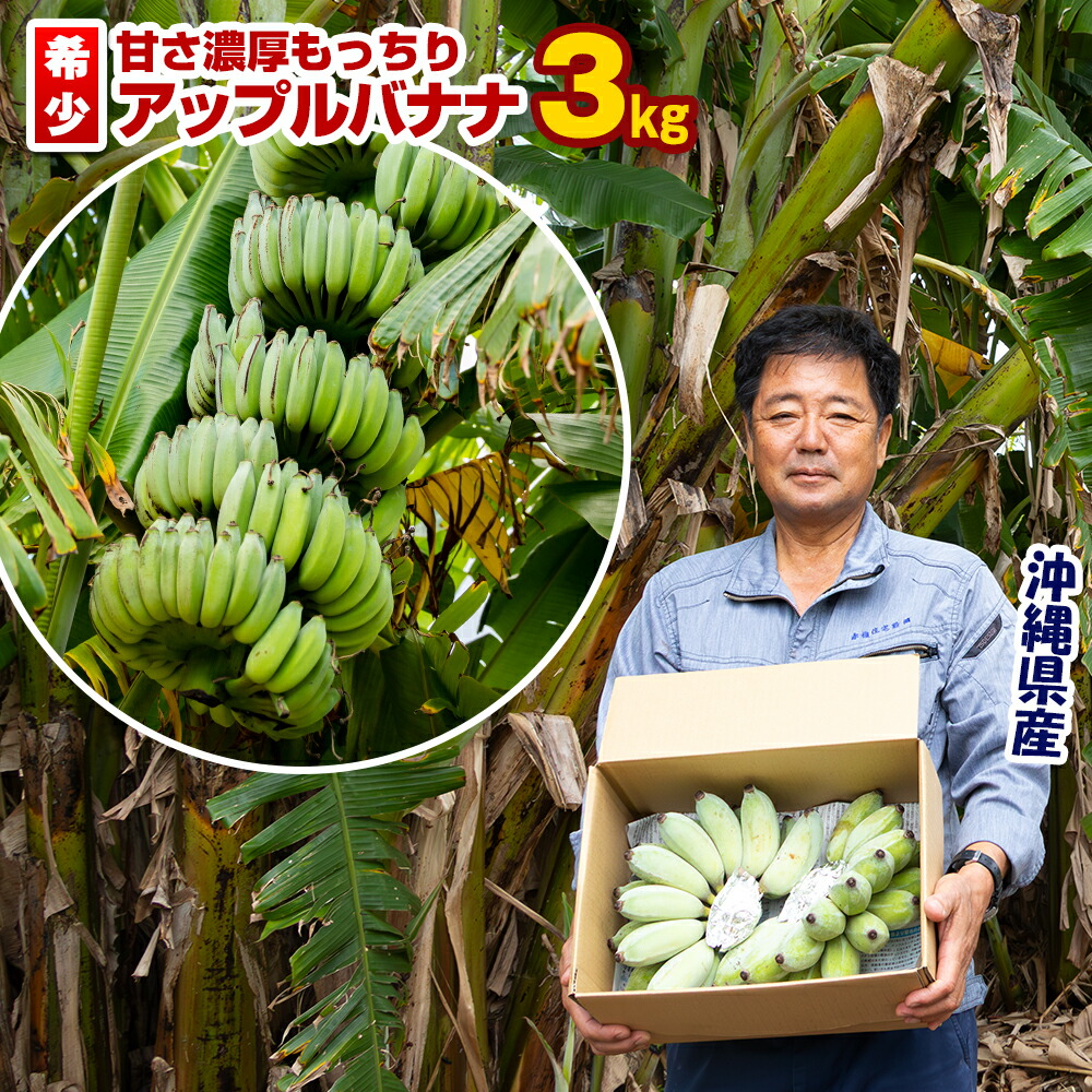 【ふるさと納税】【希少】甘さ濃厚もっちりアップルバナナ3kg