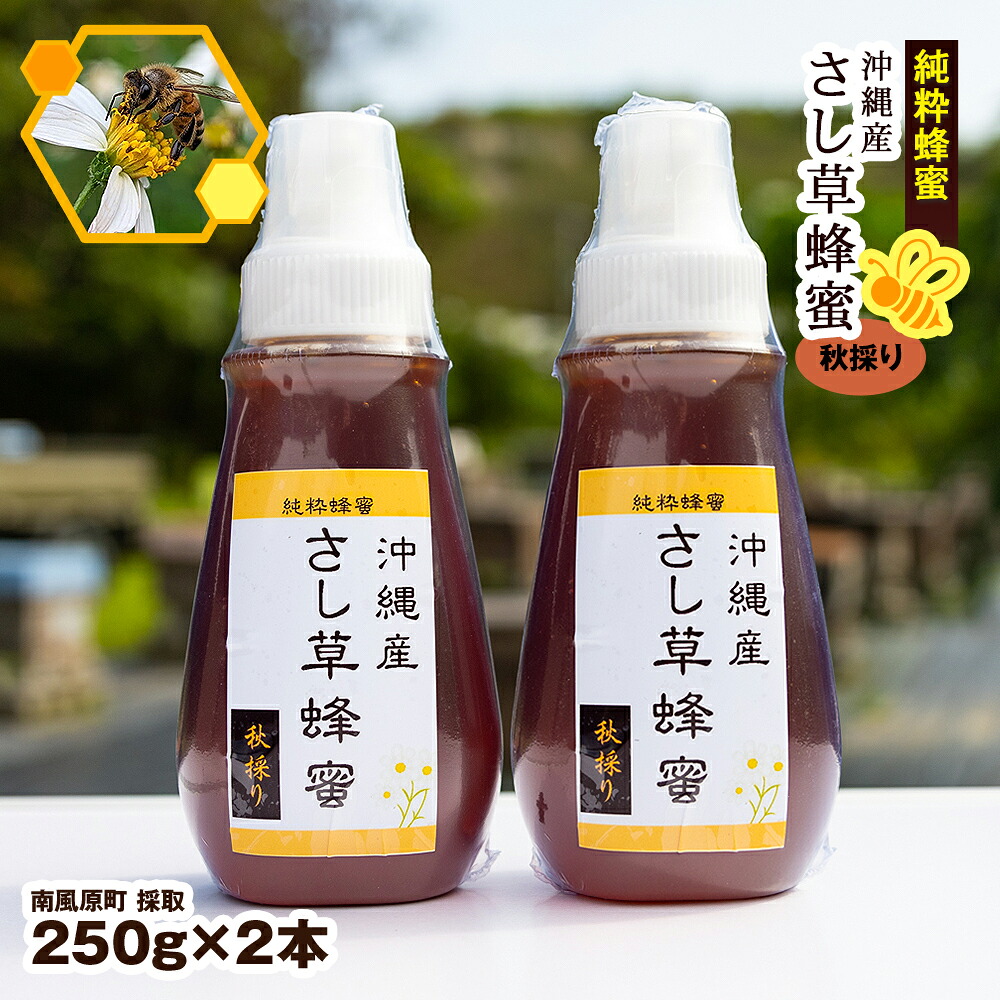 【ふるさと納税】純粋蜂蜜 沖縄産 さし草蜂蜜 秋採り 250g×2本 南風原町採取|沖縄県南風原町