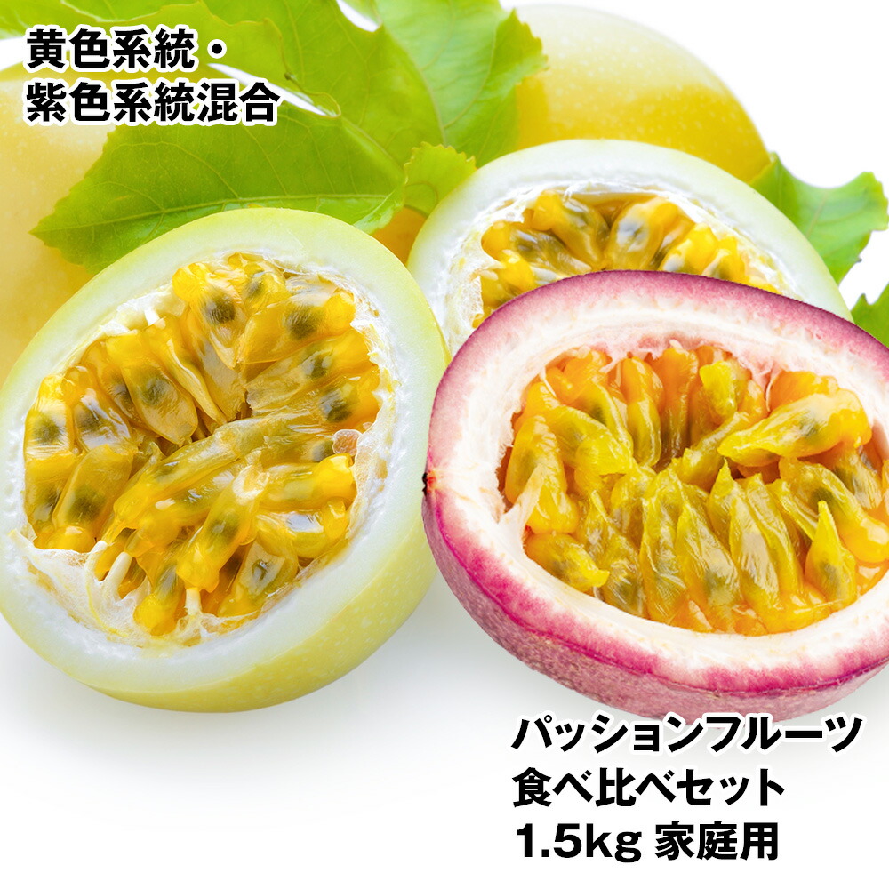 【ふるさと納税】【2025年発送】沖縄県産パッションフルーツ食べ比べセット1.5kg　家庭用　黄色系統・紫色系統混合
