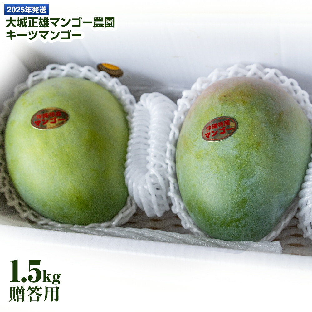 【ふるさと納税】【2025年発送】大城正雄マンゴー農園　キーツマンゴー　贈答用1.5kg