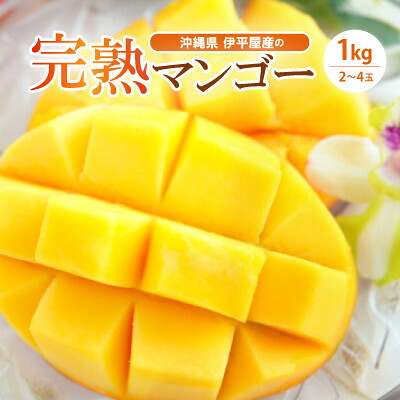 【ふるさと納税】伊平屋産の完熟マンゴー約1kg【配送不可地域：離島】【1497027】｜沖縄県伊平屋村