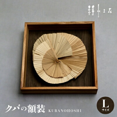 【ふるさと納税】クバの額装KUBANOHOSHI(黒肌理)L大きさ【1503761】