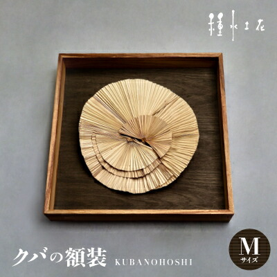 【ふるさと納税】クバの額装KUBANOHOSHI(黒木目)Mサイズ【1503762】
