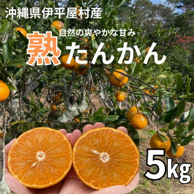 【ふるさと納税】【2026年2月～3月頃順次発送予定】伊平屋村産 熟たんかん 5kg【1591131】