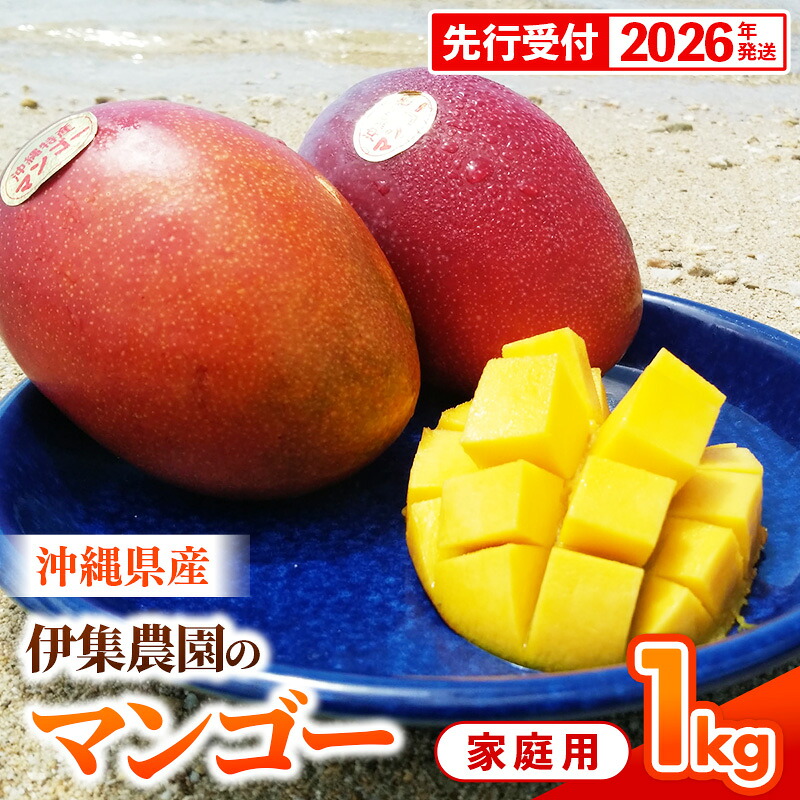 【ふるさと納税】【先行受付】【2026年発送】伊集農園 沖縄県産マンゴー ご家庭用 約1kg - 先行予約 沖縄 産地直送 南国フルーツ 旬の味覚 家庭用 1キロ オススメ 沖縄県 八重瀬町