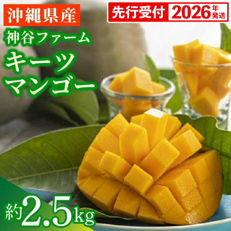 【ふるさと納税】【先行受付】【2026年発送】神谷ファームのキーツマンゴー 約2.5kg - 先行予約 沖縄県産 産地直送 南国フルーツ 旬の味覚 季節の果物 希少種 贈り物 ギフト 沖縄県 八重瀬町 26,280円