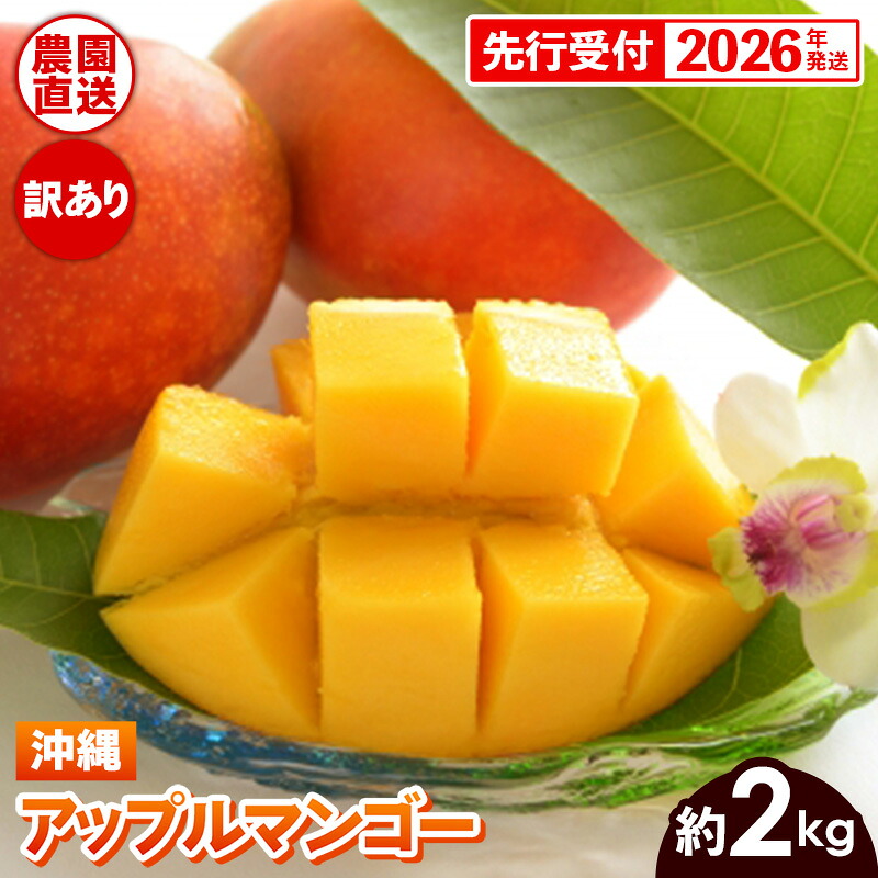 【ふるさと納税】【先行受付】【2026年発送】ヤマト農園 アップルマンゴー訳あり約2kg（4～6玉）- 先行予約 沖縄県産 産地直送 南国フルーツ 旬の味覚 季節の果物 ご自宅用 訳アリ 沖縄マンゴー 沖縄県 八重瀬町【価格改定】