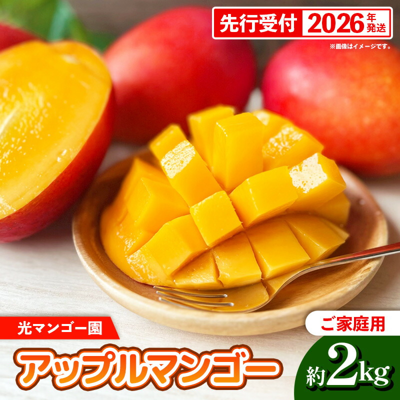 【ふるさと納税】【先行受付】【2026年発送】光マンゴー園の家庭用アップルマンゴー約2kg（4～6玉）白箱 - ご自宅用 先行予約 沖縄県産 産地直送 南国フルーツ 旬の味覚 オススメ 沖縄県 八重瀬町