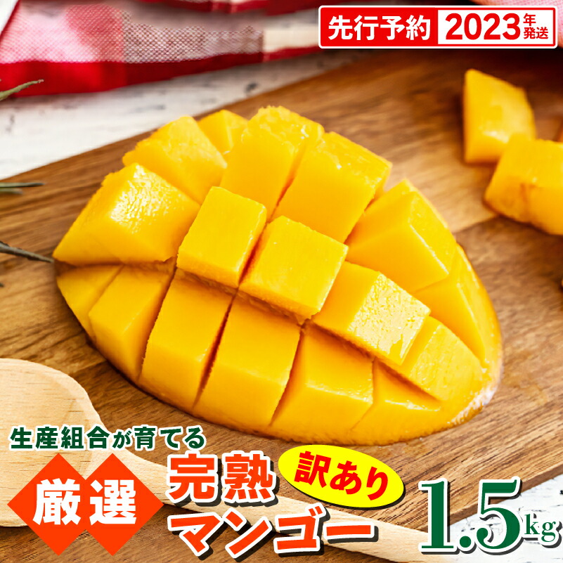生産組合が育てる厳選 完熟マンゴー約1.5kg お得な情報満載
