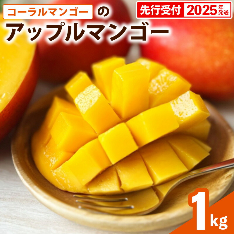 【ふるさと納税】【先行受付】【2025年発送】コーラルマンゴーのアップルマンゴー [優品] 約1kg (2~3玉)