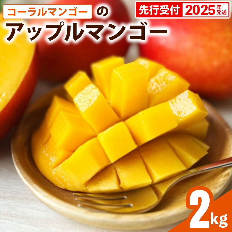 【ふるさと納税】【先行受付】【2025年発送】コーラルマンゴーのアップルマンゴー [優品] 約2kg - 先行予約 沖縄マンゴー 産地直送 国産 旬の味覚 季節の果物 贈り物 ギフト 沖縄県 八重瀬町