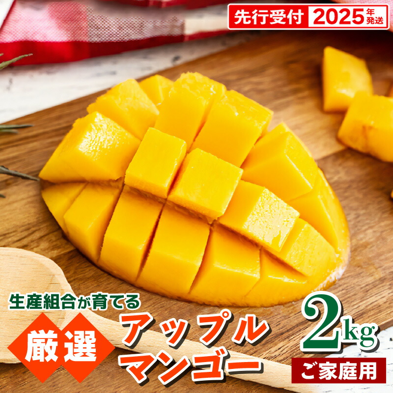 【ふるさと納税】【先行受付】【2025年発送】生産組合が育てるアップルマンゴー約2kg（家庭用）