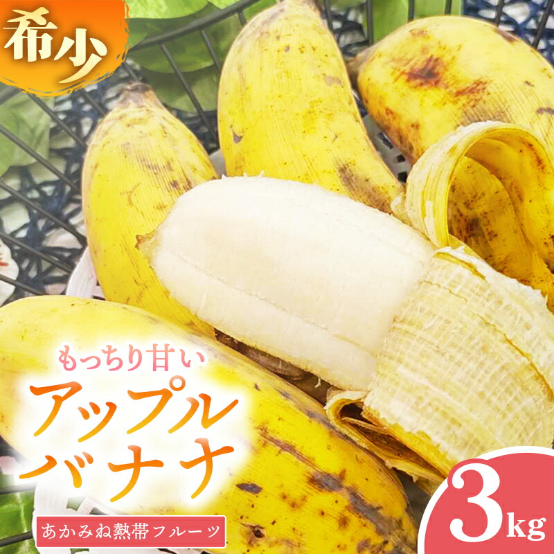 【ふるさと納税】【希少栽培種】あかみね熱帯フルーツのアップルバナナ約3kg