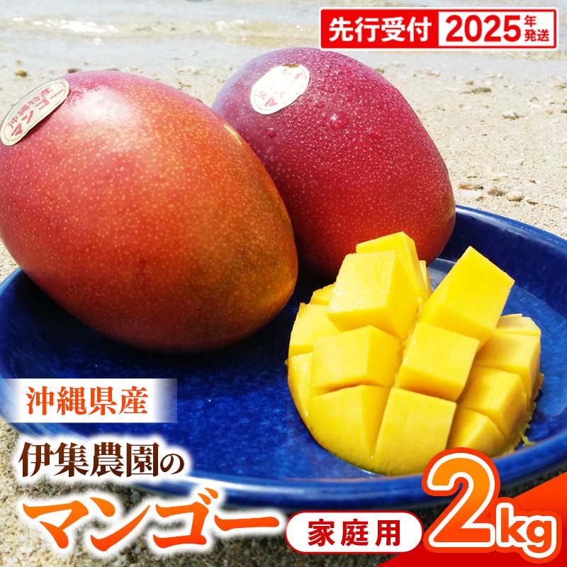 【ふるさと納税】【先行受付】【2025年発送】伊集農園 沖縄県産マンゴー ご家庭用 約2kg