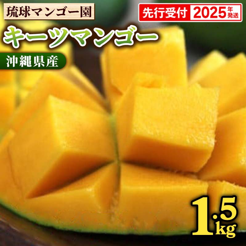 【ふるさと納税】【先行受付】【2025年発送】琉球マンゴー園のキーツマンゴー約1.5kg