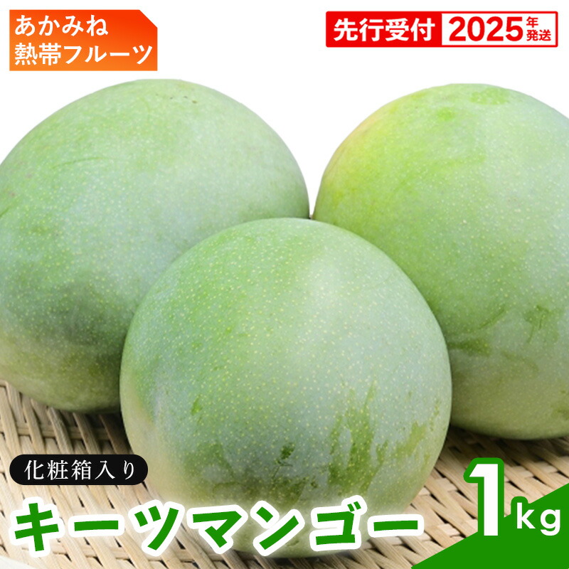 【ふるさと納税】【化粧箱入】【先行受付・2025年発送】あかみね熱帯フルーツのキーツマンゴー約1kg