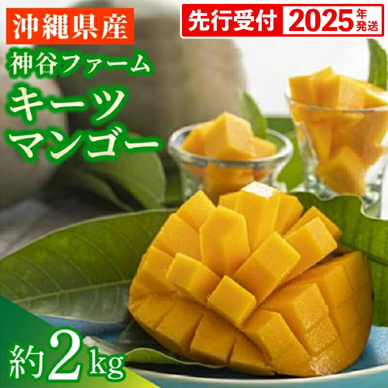 【ふるさと納税】【先行受付】【2025年発送】神谷ファームのキーツマンゴー 約2kg