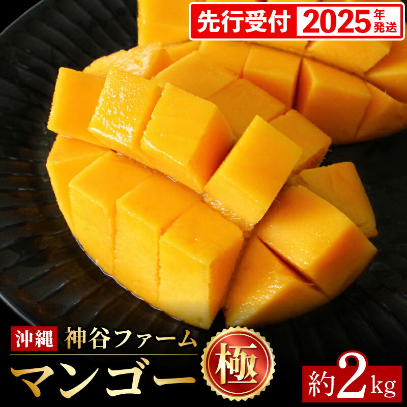 楽天市場】【ふるさと納税】 【先行受付】 【2025年発送】恵農園の 