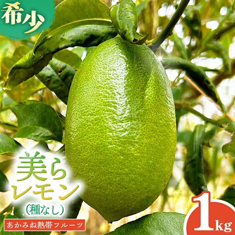 【ふるさと納税】【種なし】あかみね熱帯フルーツの美らレモン 約1kg