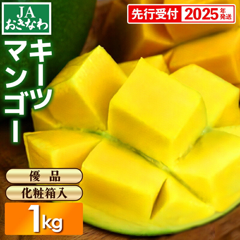 【ふるさと納税】【化粧箱入】【先行受付・2025年発送】JAおきなわの産直キーツマンゴー約1kg【優品】