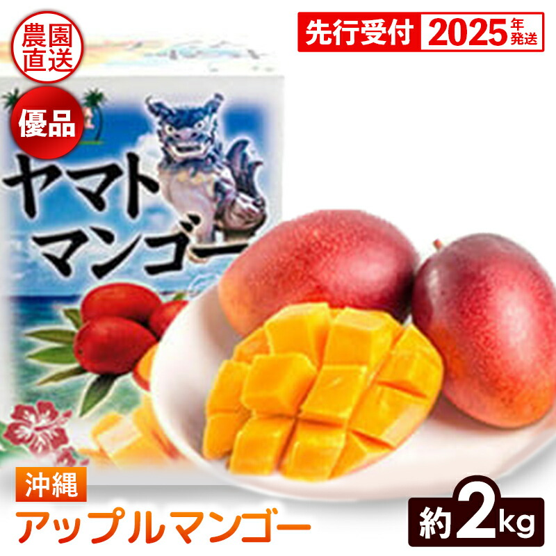 【ふるさと納税】【化粧箱入】【先行受付・2025年発送】ヤマト農園 アップルマンゴー約2kg（優品）- 先行予約 沖縄県産 産地直送 南国フルーツ 旬の味覚 季節の果物 贈り物 ギフト 沖縄県 八重瀬町