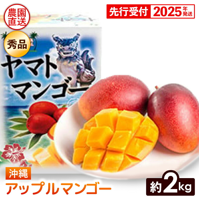 【ふるさと納税】【化粧箱入】【先行受付・2025年発送】ヤマト農園 アップルマンゴー約2kg（秀品）- 先行予約 沖縄県産 産地直送 南国フルーツ 旬の味覚 季節の果物 贈り物 ギフト 沖縄県 八重瀬町