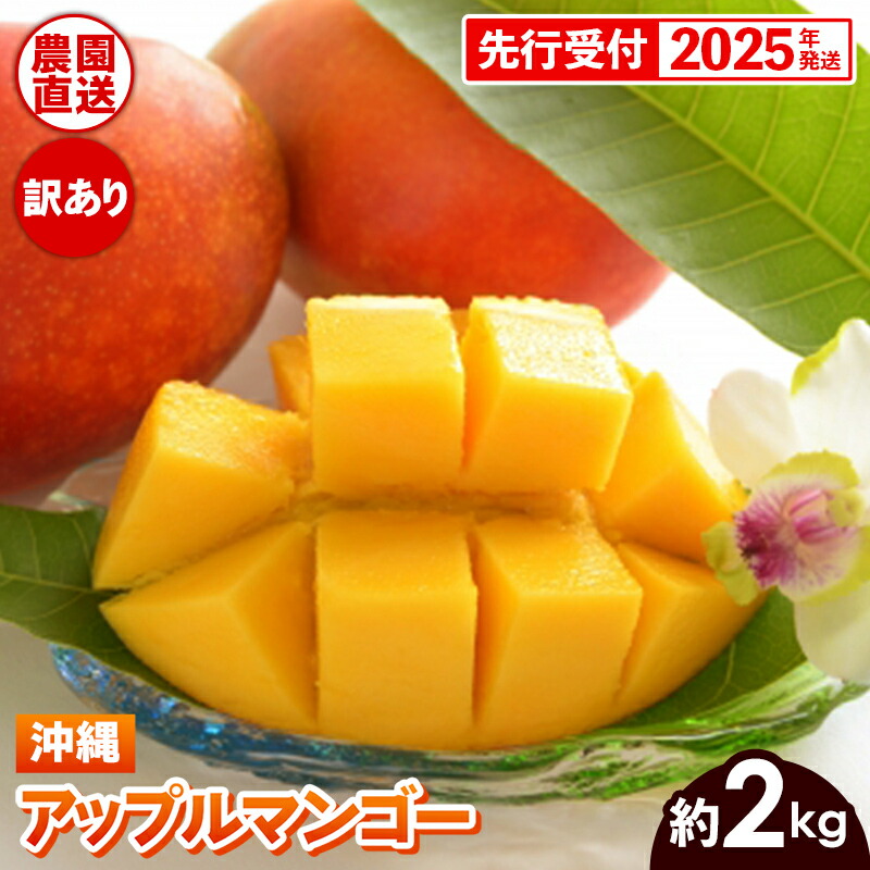【ふるさと納税】【先行受付】【2025年発送】ヤマト農園 アップルマンゴー訳あり約2kg（4～6玉）- 先行予約 沖縄県産 産地直送 南国フルーツ 旬の味覚 季節の果物 ご自宅用 訳アリ 沖縄マンゴー 沖縄県 八重瀬町