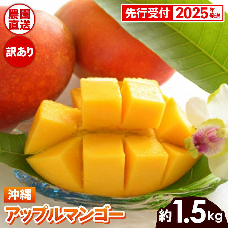 【ふるさと納税】【先行受付】【2025年発送】ヤマト農園 アップルマンゴー訳あり約1.5kg（3～6玉）- 先行予約 沖縄県産 産地直送 南国フルーツ 旬の味覚 季節の果物 ご自宅用 訳アリ 沖縄マンゴー 沖縄県 八重瀬町【価格改定】