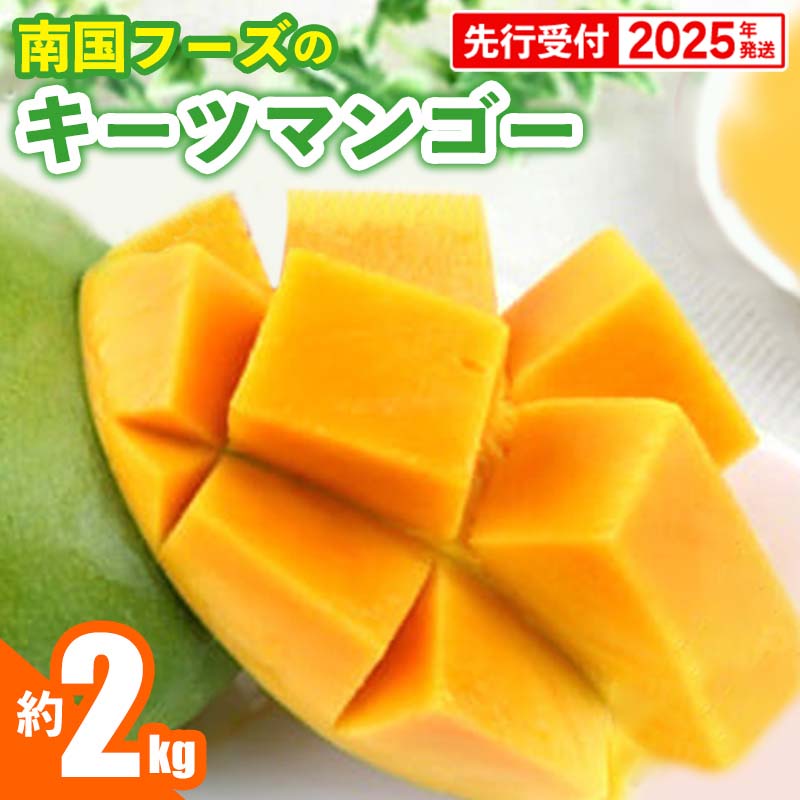 【ふるさと納税】【先行受付】【2025年発送】南国フーズのキーツマンゴー 約2kg